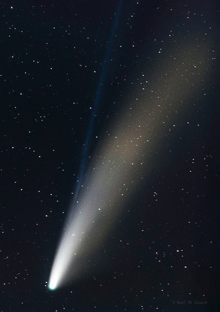 ANATOMY OF COMET NEOWISE