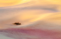 Intimate Dunes